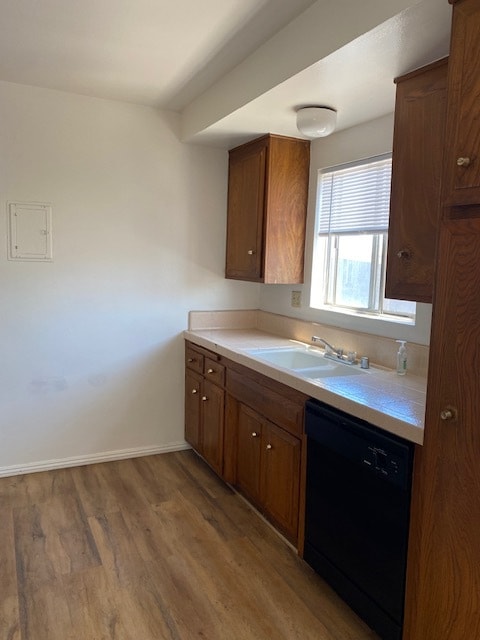 Kitchen Window/Dishwasher - 1304 Amethyst St Unit D Rental