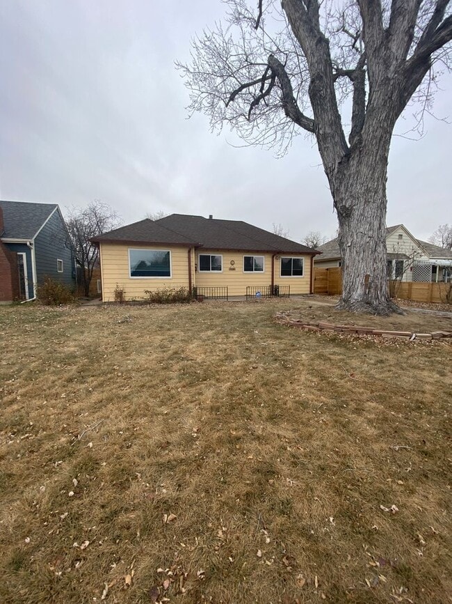 Photo - Beautiful 2 bedroom home in Chaffee Park with Huge Studio