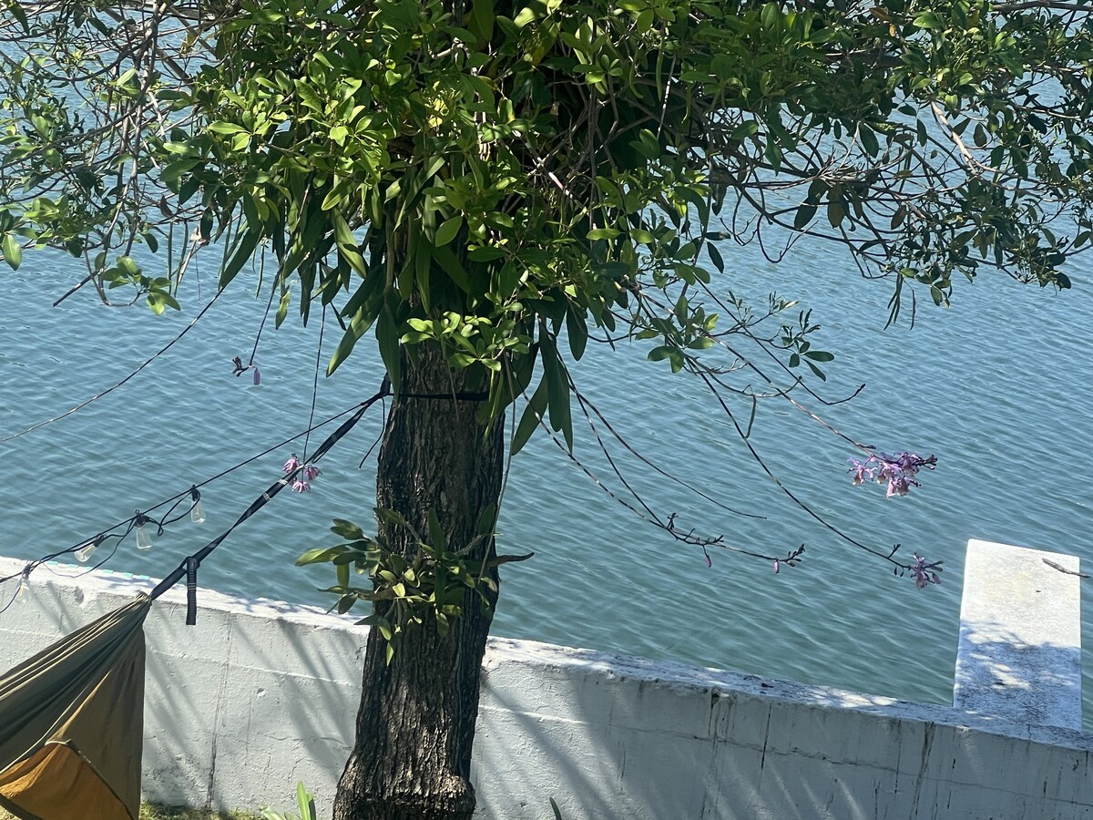 Photo - 425 NE 103rd St