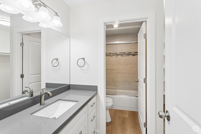1BR, 1BA - 550SF - Bathroom