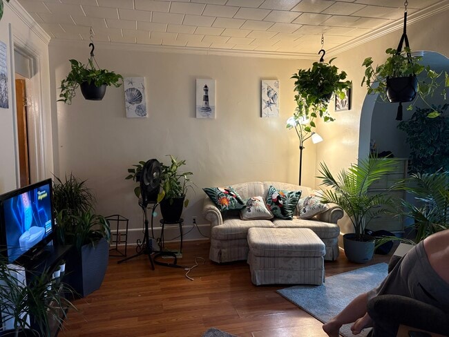 Photo - 81 Cameron St Unidad 81 Back