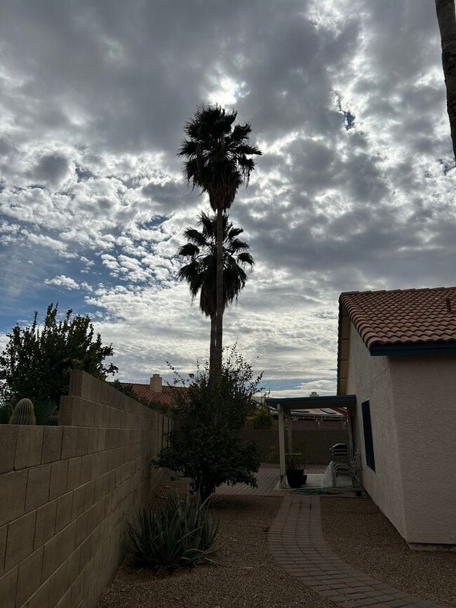 Photo - 7277 W Maple Ridge Dr