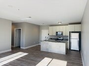 Open kitchen and Living Room