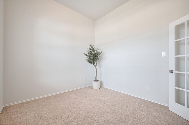 8211 Red Shiner Wy