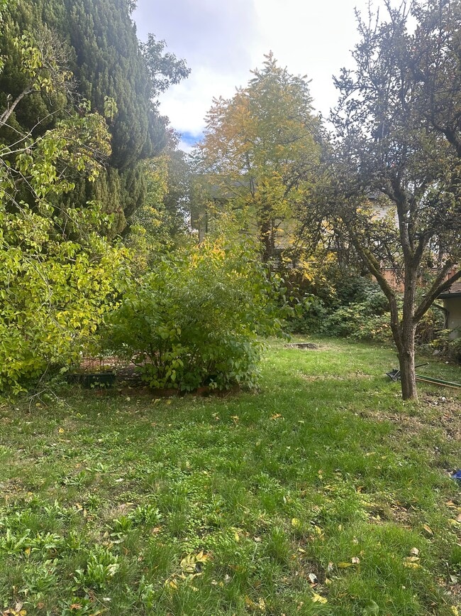 Back Yard - 8018 Densmore Ave N