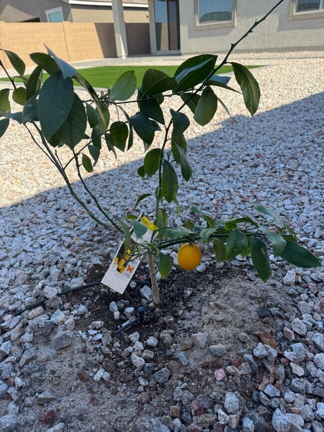 Photo - 3 bed 2.5 bath brand new home