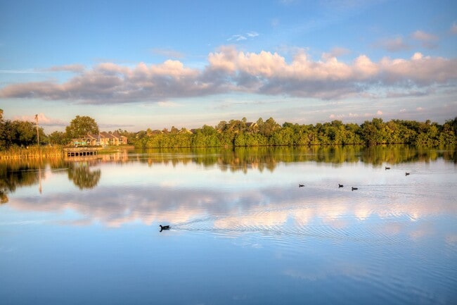 Lakeside Views