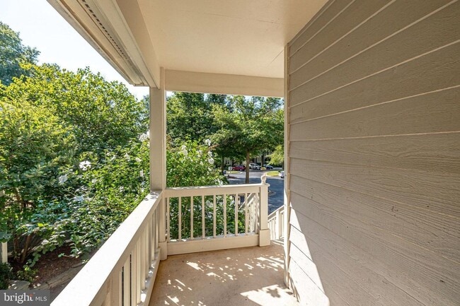 Photo - See what Reston has to offer!