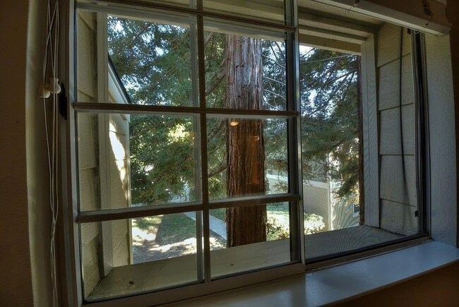 Photo - 2771 Somerset Park Cir