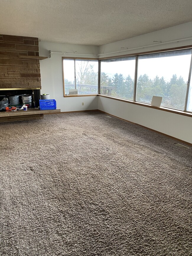 Living room - 19273 Military Rd S House