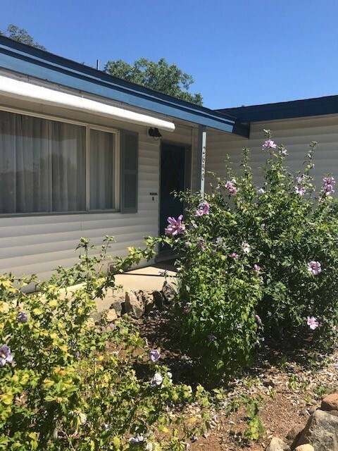 Photo - Newly Renovated Home! Charming Neighborhoo...