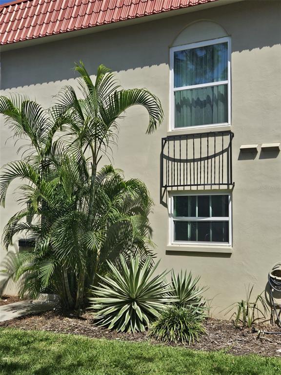 Building Photo - 2700 Bayshore Blvd Rental