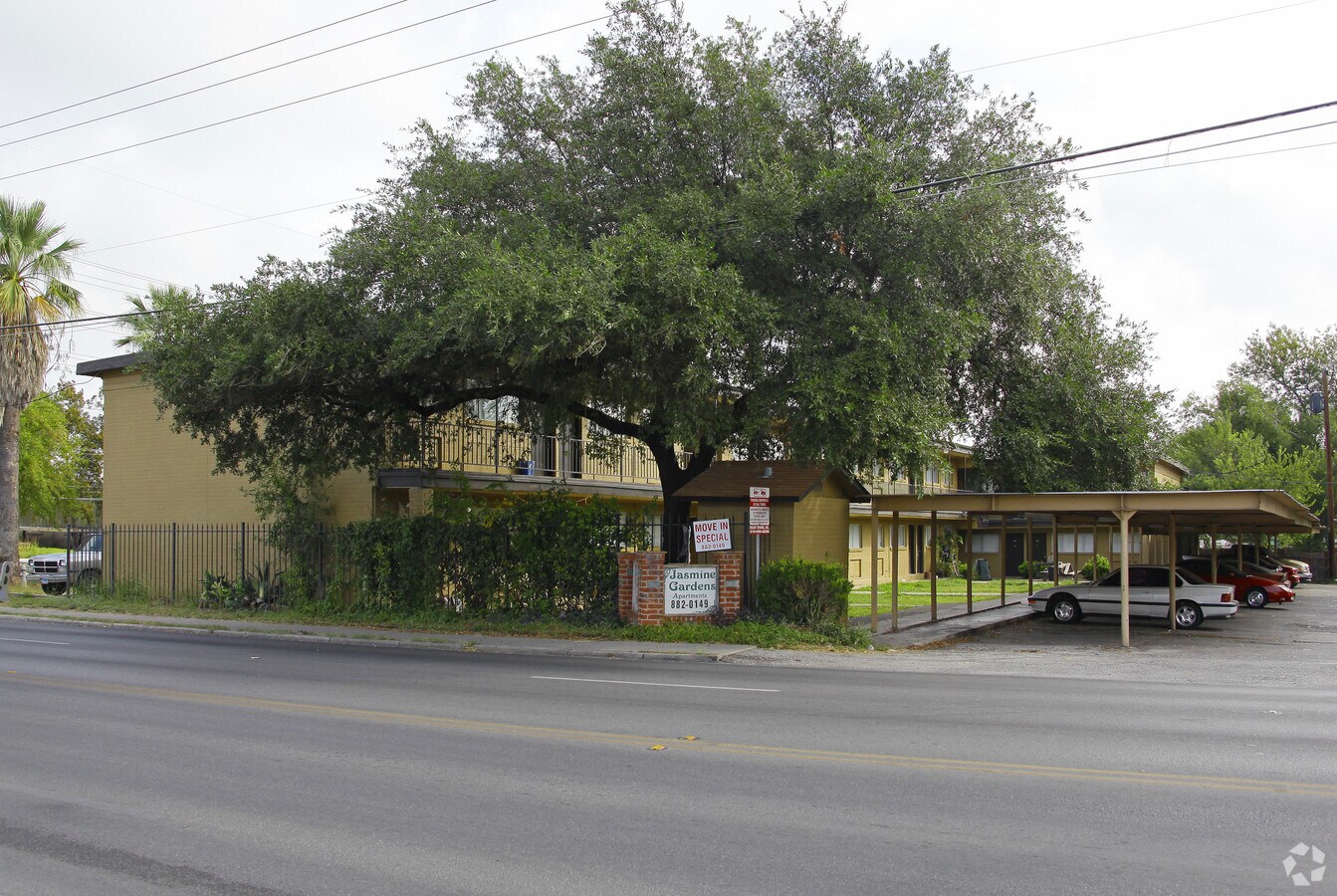 Jasmine Gardens Apartments - Jasmine Gardens Apartments