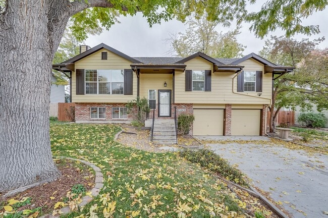 Building Photo - Beautiful Split-Level 4 Bed 3 Bath Home in Central Fort Collins!