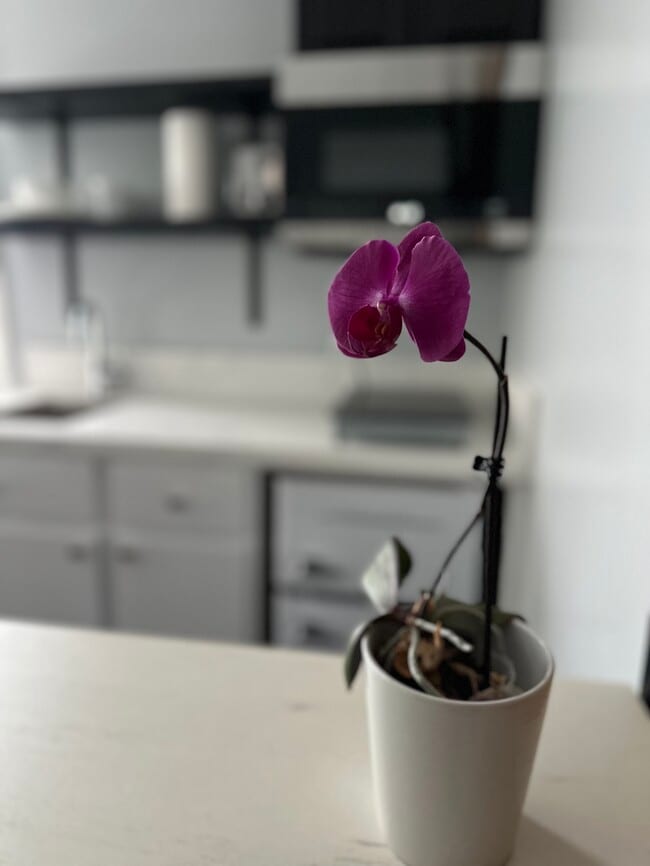 Photo - 2586 Lime Ave Unidad 2586