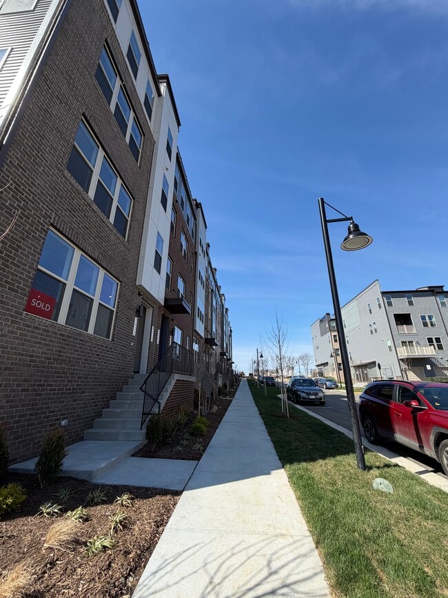 Building Photo - 8652 Lovelace St Unit 155