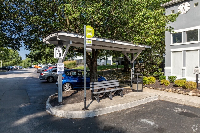 Bus Stop