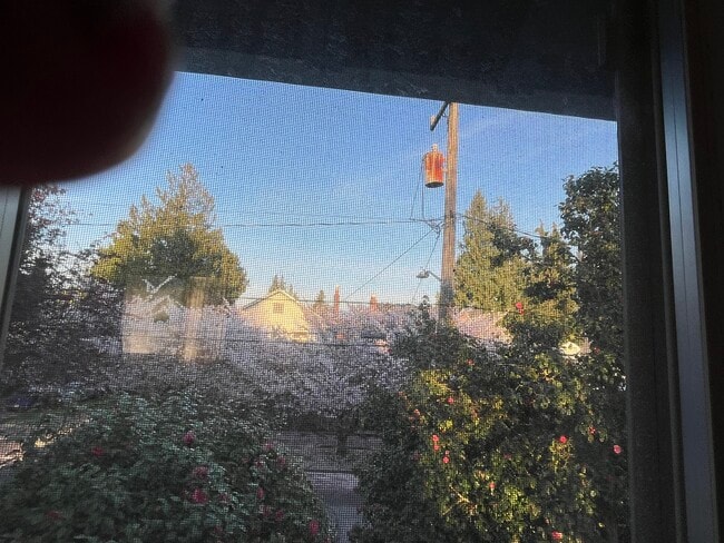 Photo - 6057 34th Ave NE