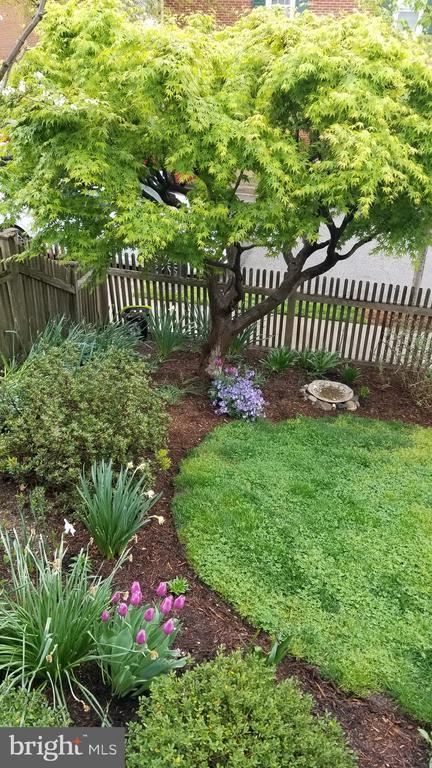 Photo - 1134 Portner Rd