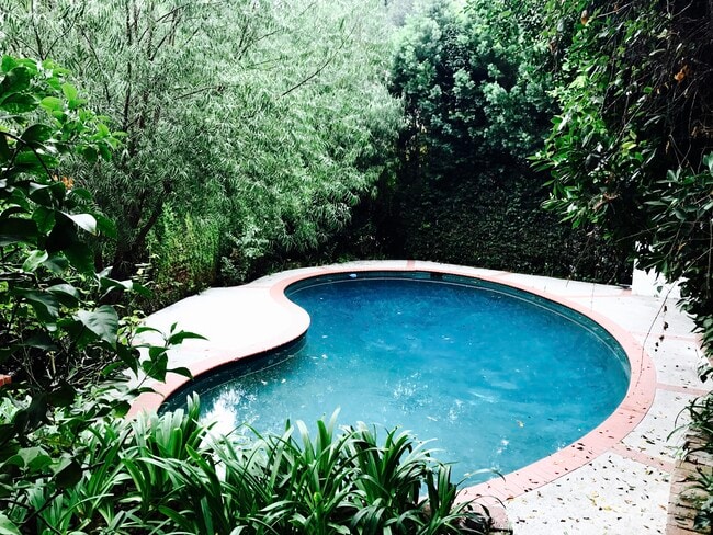 Photo - 3915 Benedict Canyon Dr