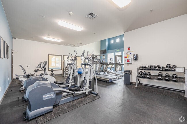 Fitness Studio with Cardio & Free Weights