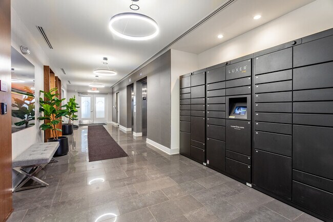 Photo - Valley and Bloom