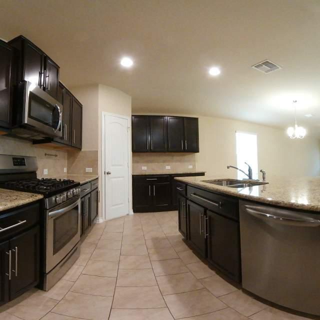 Photo - 15525 Gray Catbird