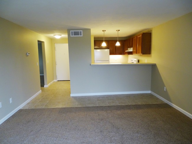 Kitchen Bar Layout