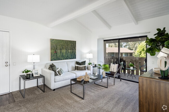 Plan B 1BR, 1BA - 690SF - Living Room