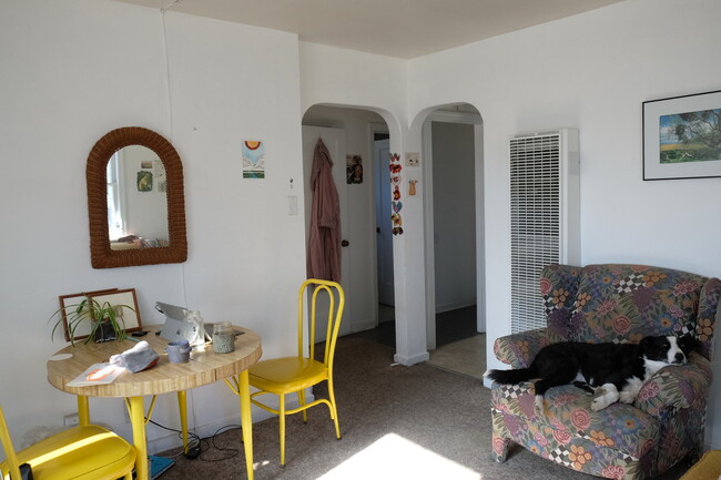 dog not included - 215 E 7th St Apartments Unit 6