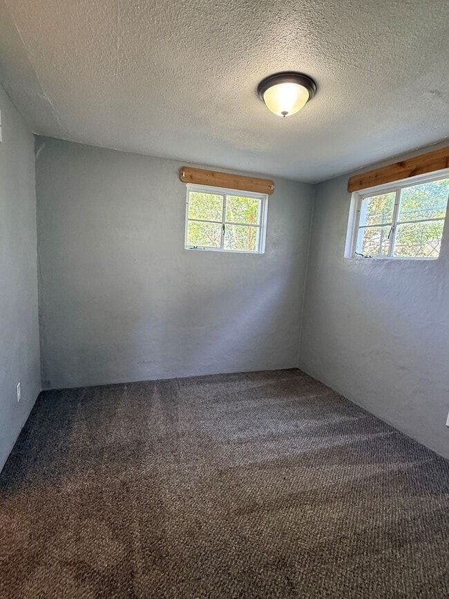 Photo - HALF OFF FIRST MONTH! Bright & Spacious 2-Bed Basement Gem