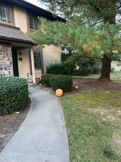 Front Yard
