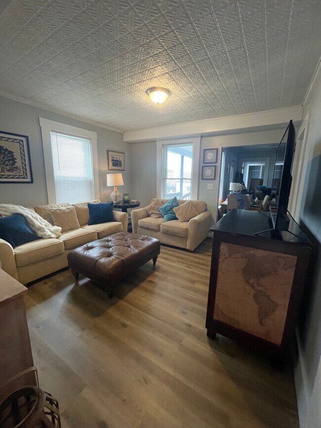 Living Room - 188 Wilson St Unit 188-1