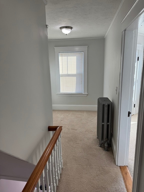 Photo - 56 Sheridan St