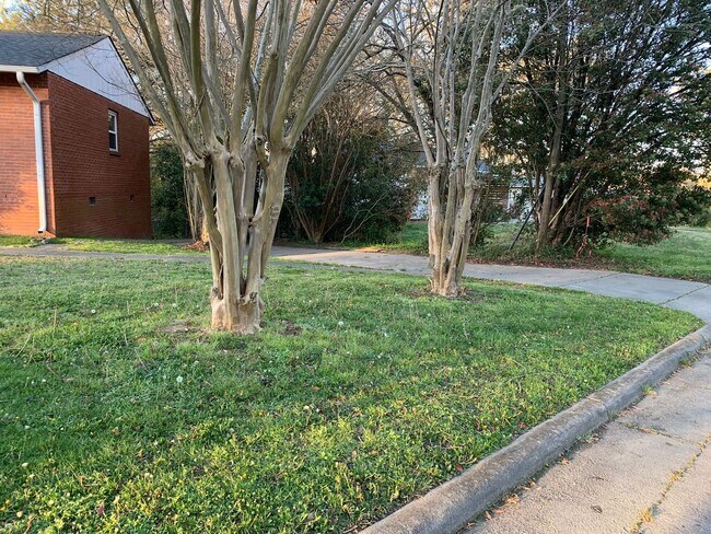 Photo - 3 bedroom & office -2 baths -2 car carport - washer/dryer hook ups - Den and formal living room- ...