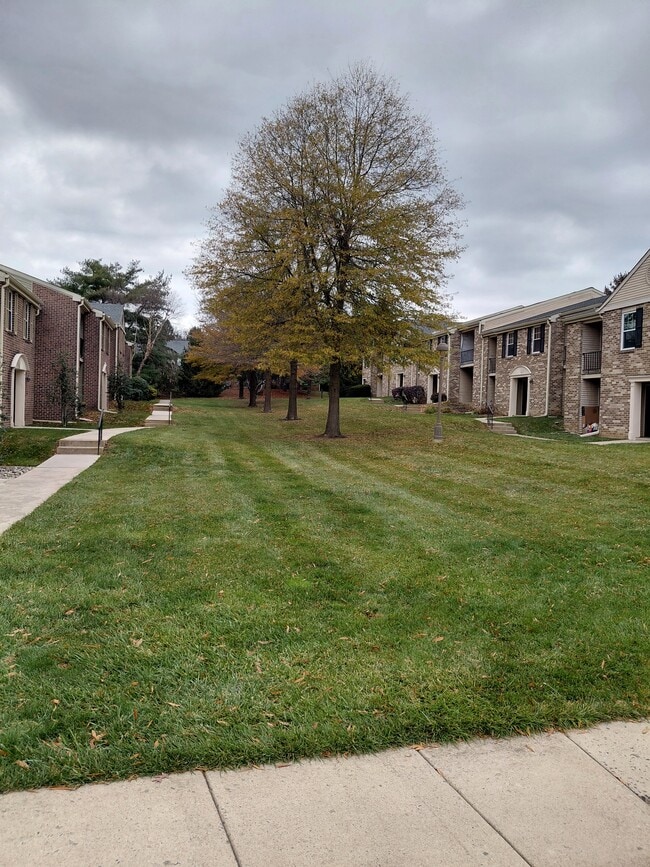 Photo - 93 Ramsgate Ct Unidad Oxford of Blue Bell