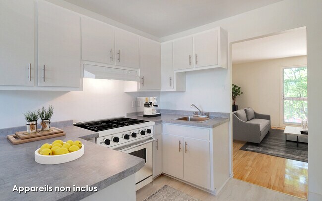 Photo - Jardins Viva