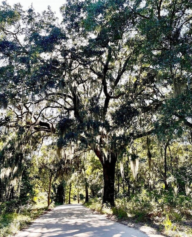 Photo - Quiet and Serene Johns Island Living