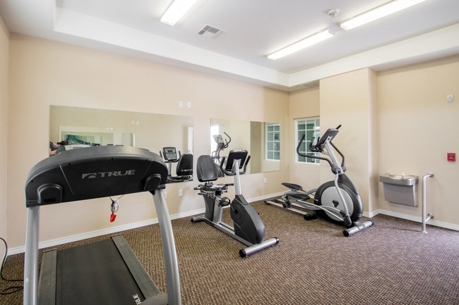 Fitness Area