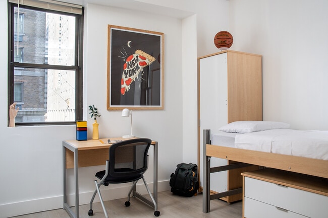 FOUND Study Turtle Bay- Student/Intern