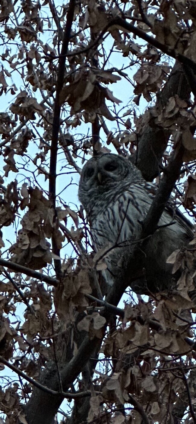 Talent Parkside Apartments Talent, OR