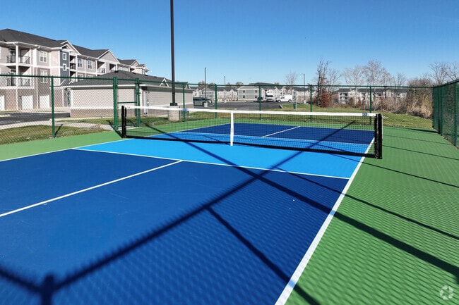 Pickleball Court