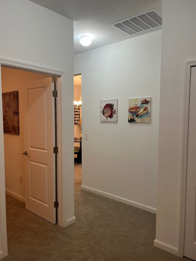 Photo - 400 Gypsy Palace Ln