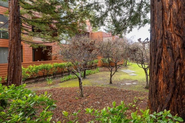 Photo - 4250 El Camino Real