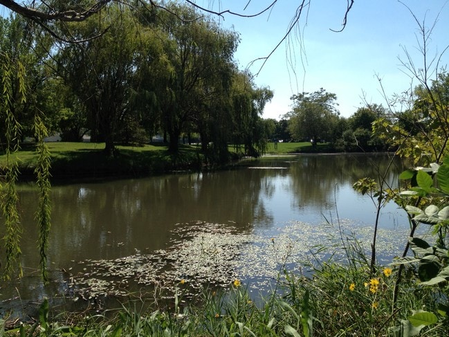 pond