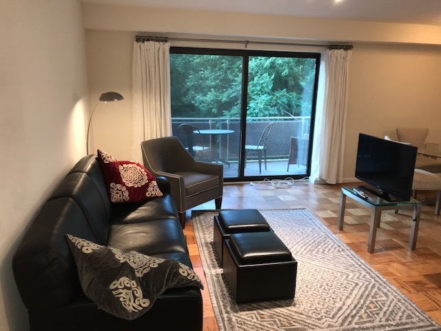 living room - 1931 N Cleveland St Condo Unit 301