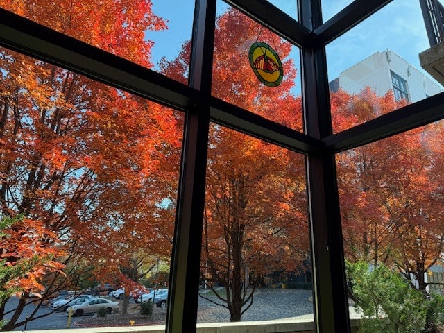 Fall view from bedroom - 60 N Market St Unit 111