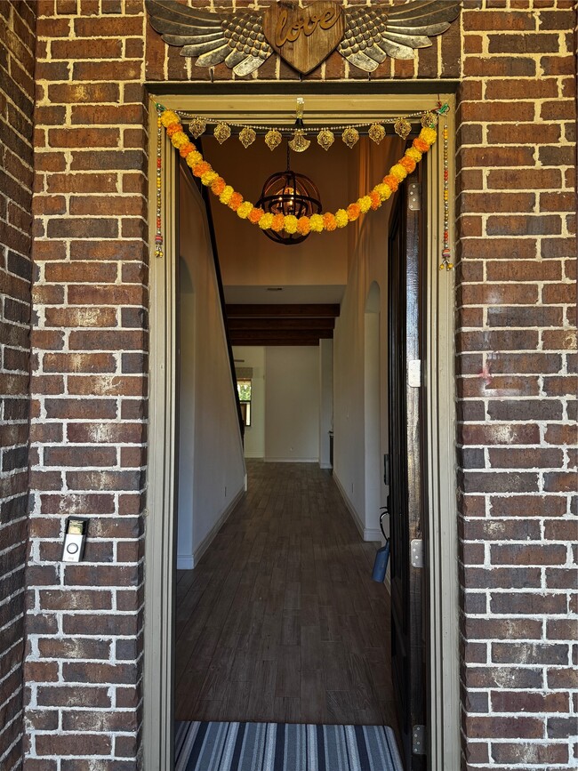 Photo - 2019 Wild Peregrine Cir