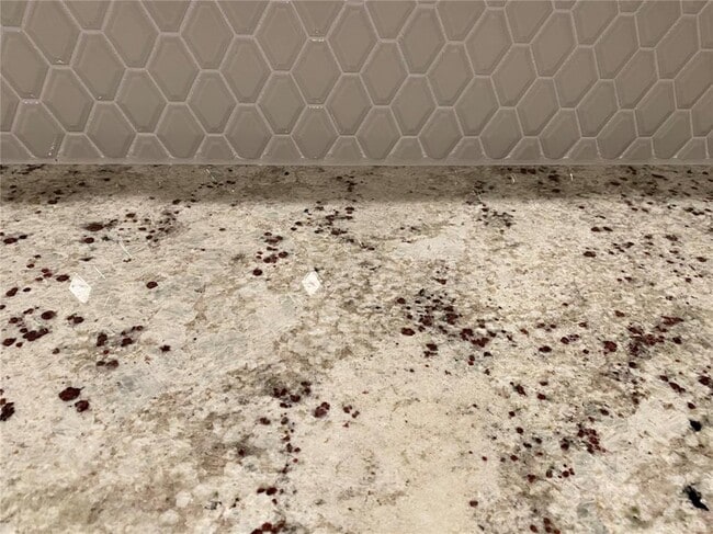 Photo - 2950 Firebush Wy