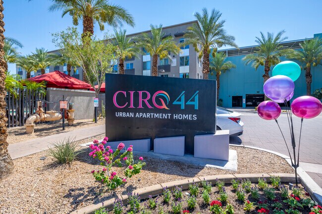 CIRQ 44